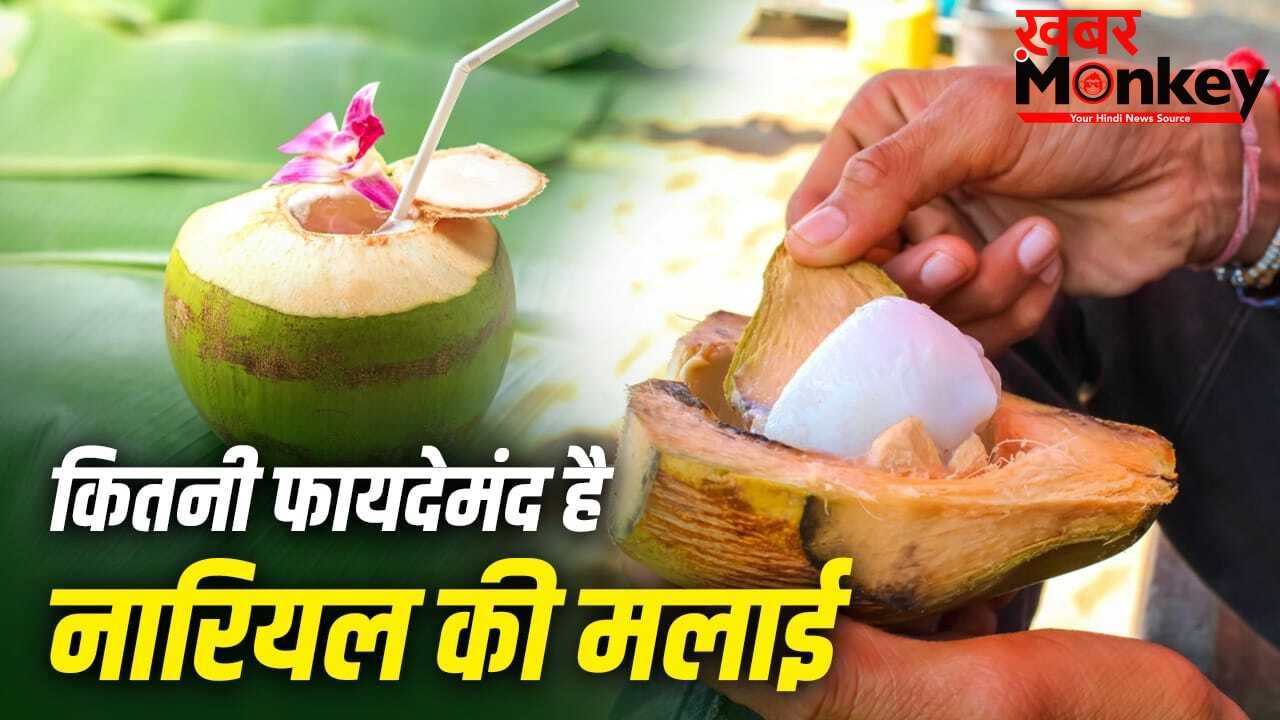 Coconut Malai Nutrients: क्या नारियल की मलाई भी देती है शरीर को फायदे? जानें इसके पोषक तत्व
