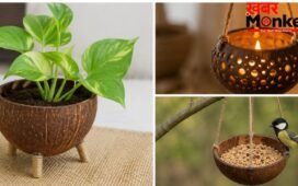 नारियल के खोल से बनाएं ये 5 खूबसूरत चीजें, घर के कोने को सजाने में आएंगी काम