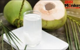 खाने से कितनी देर पहले और कितनी देर बाद पीना चाहिए नारियल पानी?