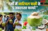 गर्मी में नारियल पानी पीने के 5 जबरदस्त फायदे, प्राकृतिक अमृत के समान करता है काम