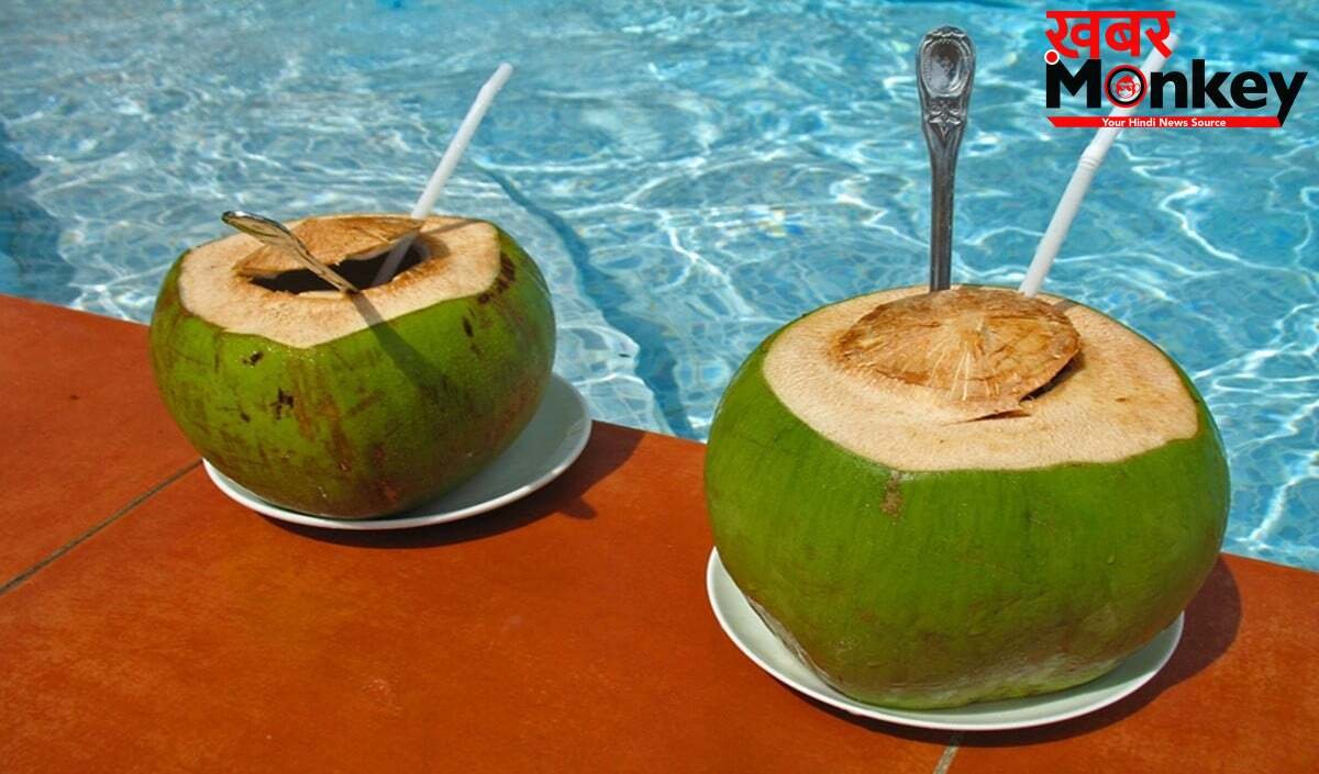 Summer Health Tip: पानी से लबालब नारियल कैसे चुनें? ये 5 'Golden Rules' आपको बचाएंगे