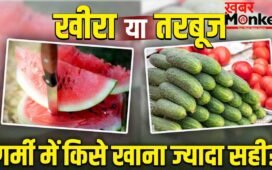Hydration Tips: खीरा या तरबूज… गर्मी से बचाने में कौन है ज्यादा कारगर, जानें