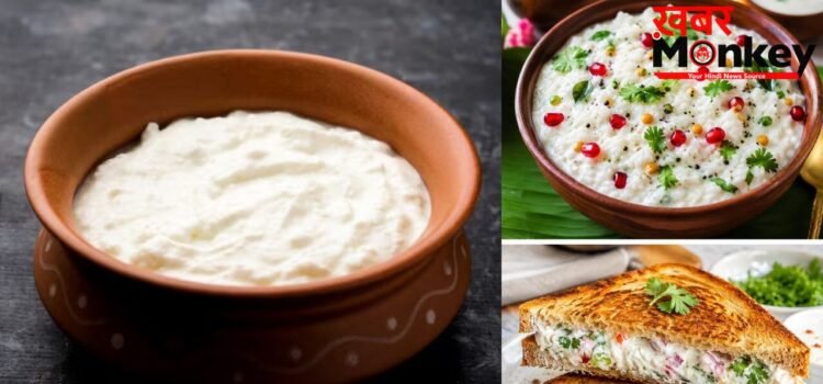 गर्मी में सब्जी-रोटी खाने का नहीं है मन, घर पर झटपट तैयार करें दही से ये 2 डिशेज