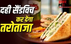 Curd Sandwich: प्रोटीन मिलेगा भरपूर! मेयोनीज को कहें बाय, गर्मी में बनाएं दही सैंडविच