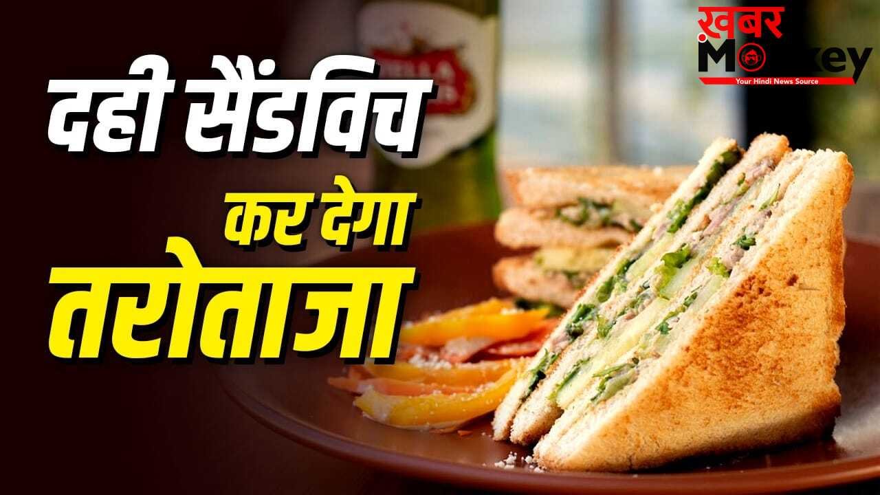 Curd Sandwich: प्रोटीन मिलेगा भरपूर! मेयोनीज को कहें बाय, गर्मी में बनाएं दही सैंडविच
