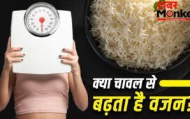 Weight Gain Problem: क्या रोजाना चावल खाने से वजन बढ़ता है? एक्सपर्ट से जानें पूरा सच