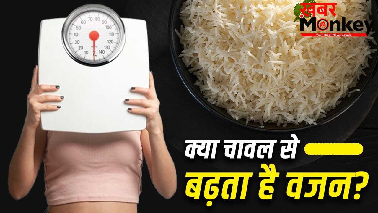 Weight Gain Problem: क्या रोजाना चावल खाने से वजन बढ़ता है? एक्सपर्ट से जानें पूरा सच