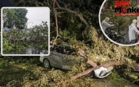 आंधी-तूफान और बारिश का कहर… यूपी से उत्तराखंड तक मौसम का रौद्र रूप, कई लोगों की गई जान