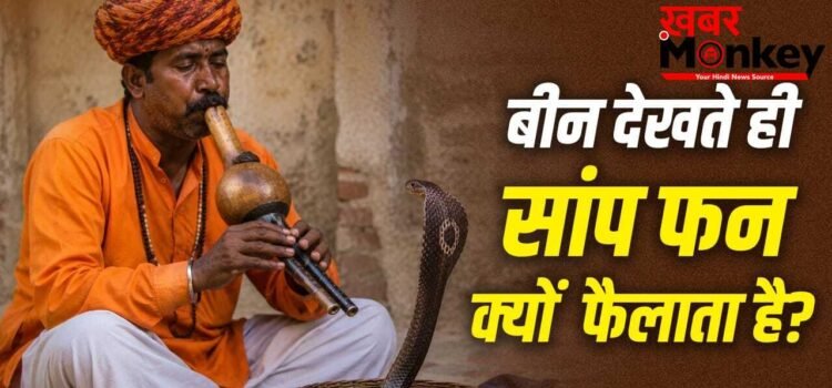 Snake Charmer Myths: क्या सपेरा बीन की आवाज से सांप को मदहोश कर देता है? यहां समझें पूरा सच