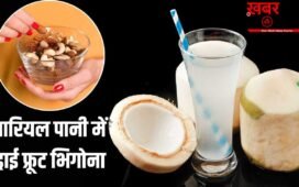 Dry Fruit Soaked In Coconut Water: क्या नारियल पानी में ड्राई फ्रूट्स को भिगोकर खाने से दोगुने फायदे मिलते हैं? एक्सपर्ट ने बताया