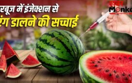 क्या वाकई तरबूज में इंजेक्शन से डालते हैं रंग? FSSAI ने बताई सच्चाई