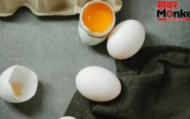 How to Check Fresh Egg: अंडा खाने लायक है या नहीं…खाने से पहले ऐसे करें चेक, FSSAI ने बताया तरीका