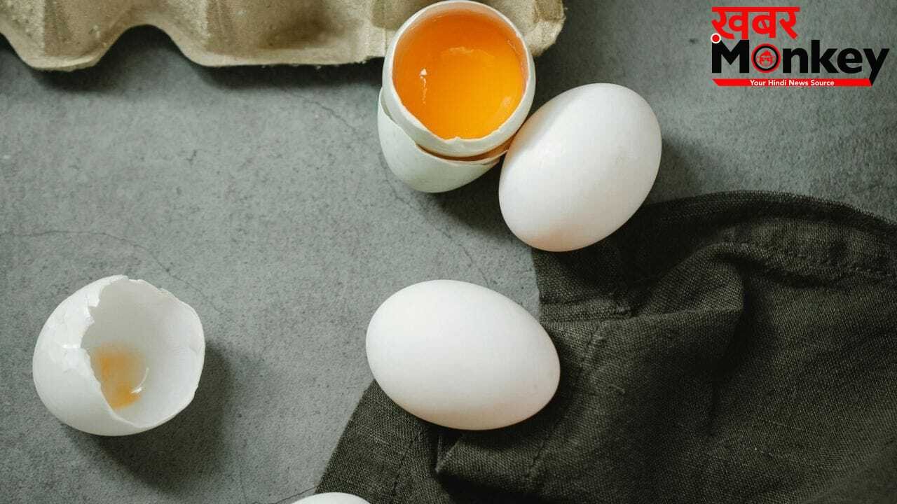 How to Check Fresh Egg: अंडा खाने लायक है या नहीं…खाने से पहले ऐसे करें चेक, FSSAI ने बताया तरीका