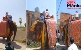 बचपन से देखा सपना, फिर ऐसे किया पूरा… लाखों रुपए खर्च कर राजस्थान से लाया मेरठ; हाथी पर बैठकर बारात लेकर निकला दूल्हा