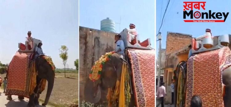 बचपन से देखा सपना, फिर ऐसे किया पूरा… लाखों रुपए खर्च कर राजस्थान से लाया मेरठ; हाथी पर बैठकर बारात लेकर निकला दूल्हा