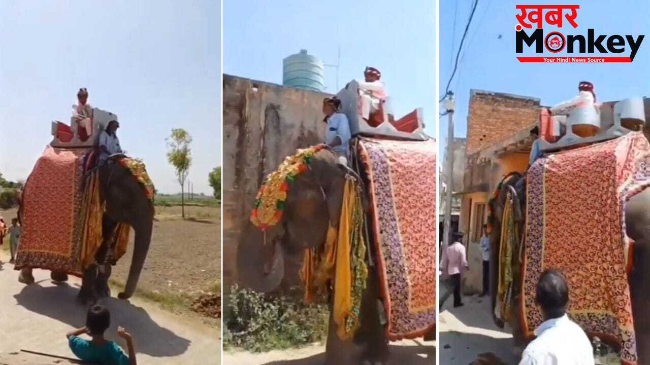 बचपन से देखा सपना, फिर ऐसे किया पूरा… लाखों रुपए खर्च कर राजस्थान से लाया मेरठ; हाथी पर बैठकर बारात लेकर निकला दूल्हा