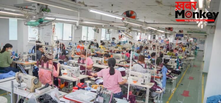 डिजिटलीकरण सुधारों से बढ़ी MSME की उत्पादकता, IMF रिसर्च में सामने आईं अहम बातें