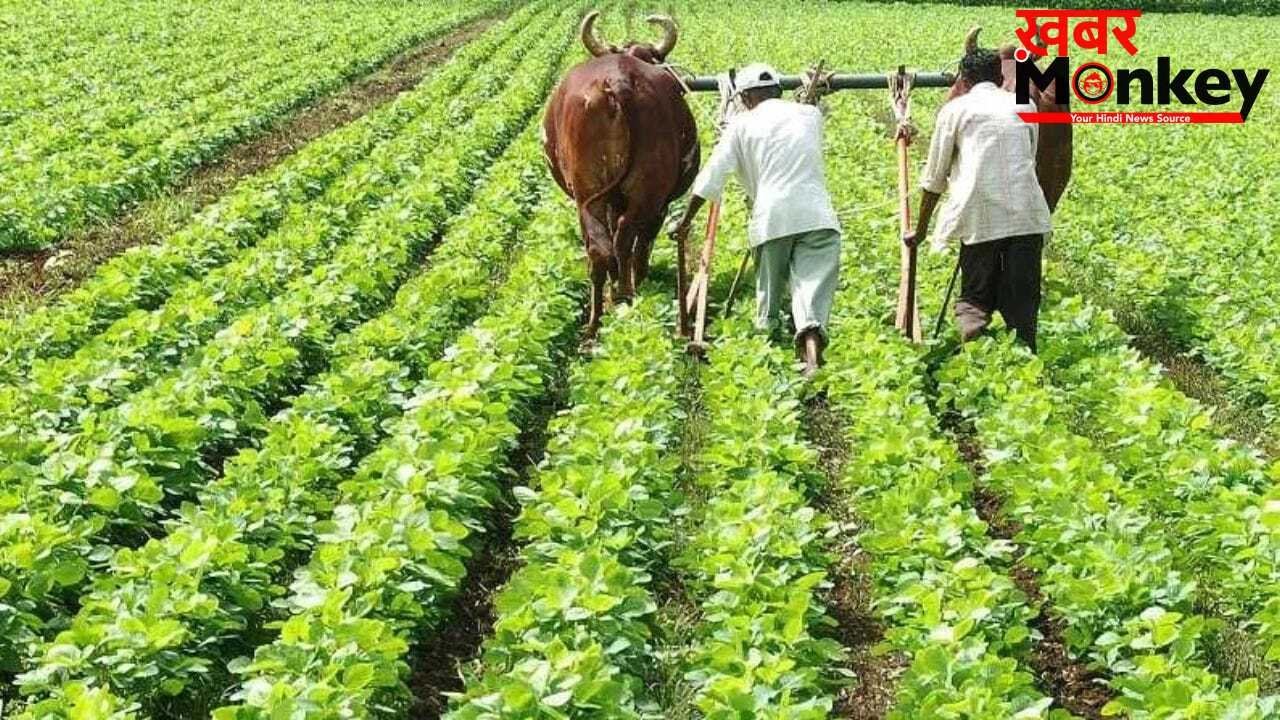 कैबिनेट की बैठक में 4 अहम फैसले, खरीफ की फसल पर बढ़ाया MSP