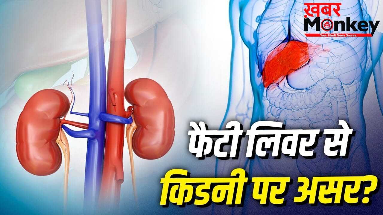 क्या फैटी लिवर से बिगड़ जाती है किडनी की हेल्थ, जानें दोनों में कनेक्शन