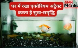 घर में सही दिशा में रखें एक्वेरियम तो खुद चलकर आता है पैसा, गलत जगह बन सकती है नुकसान, जानिए वास्तु नियम