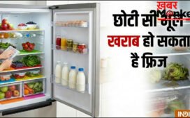 एक छोटी सी भूल और खराब हो जाएगा आपका फ्रिज, सफाई के चक्कर में कूलिंग पर हो सकता है असर, जानिए आपको क्या नहीं करना