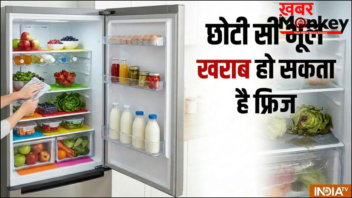 एक छोटी सी भूल और खराब हो जाएगा आपका फ्रिज, सफाई के चक्कर में कूलिंग पर हो सकता है असर, जानिए आपको क्या नहीं करना