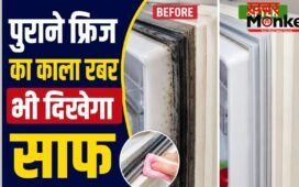 फ्रिज के दरवाजे का रबर हो गया है गंदा? बिना नुकसान ऐसे करें सफाई