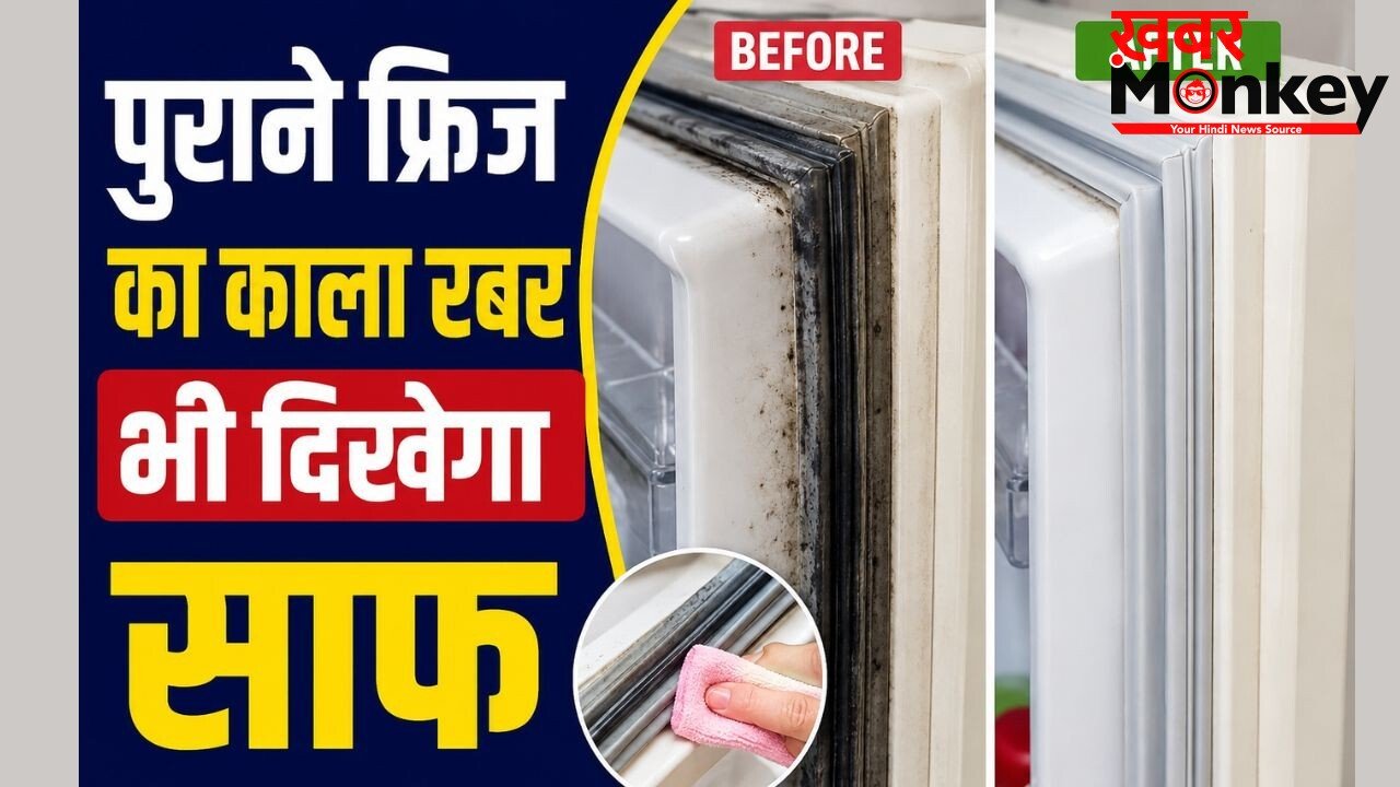 फ्रिज के दरवाजे का रबर हो गया है गंदा? बिना नुकसान ऐसे करें सफाई