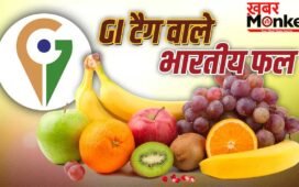 GI Tag Fruits: सुरखा अमरूद से नागपुर के संतरा तक…जीआई टैग वाले 5 भारतीय फल, पोषण और फायदों से हैं भरपूर