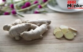 Ginger Storage Tips: अदरक फेंकने की नौबत नहीं आएगी, ये Smart Storage Tips महीनों तक रखेंगे Fresh