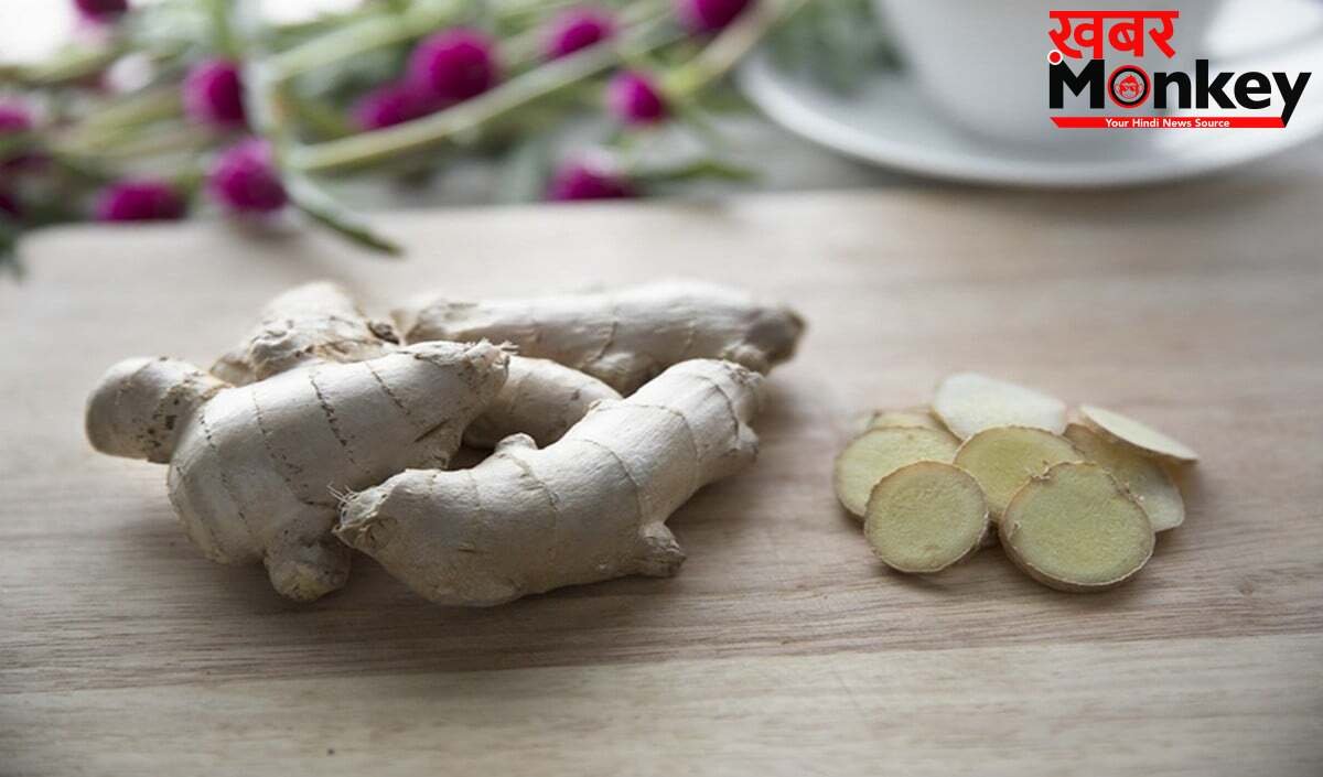 Ginger Storage Tips: अदरक फेंकने की नौबत नहीं आएगी, ये Smart Storage Tips महीनों तक रखेंगे Fresh