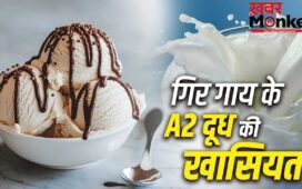 अनंत अंबानी की Vantara Creamery में A2 गिर गाय दूध का यूज, 150 से 200 रुपये लीटर इस मिल्क में क्या है खास