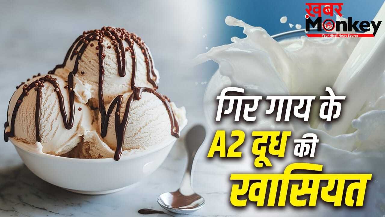 अनंत अंबानी की Vantara Creamery में A2 गिर गाय दूध का यूज, 150 से 200 रुपये लीटर इस मिल्क में क्या है खास