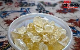 Cooling Food for Summer: फल-सब्जियां ही नहीं…नेचुरली बॉडी हीट कम करते हैं ये पांच फूड, जान लें खाने का सही तरीका