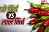 Red Vs Green Chilli: लाल मिर्च से क्यों बेहतर है हरी मिर्च, क्या ये आपको लू से बचाती है? जानें यहां