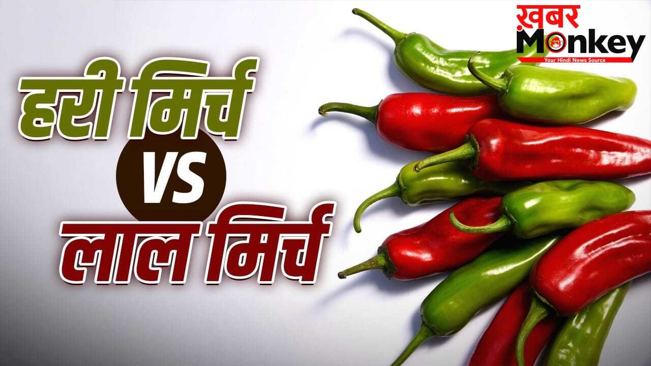 Red Vs Green Chilli: लाल मिर्च से क्यों बेहतर है हरी मिर्च, क्या ये आपको लू से बचाती है? जानें यहां