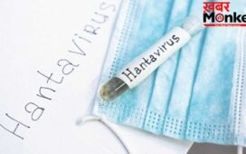 Hanta Virus: क्या हंता वायरस बनेगा बड़ा खतरा? एक्सपर्ट से जानें