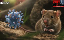 Explainer: Hantavirus क्या है? कैसे हुई इसकी शुरुआत और क्या होते हैं लक्षण? जानें कुछ महत्वपूर्ण बातें