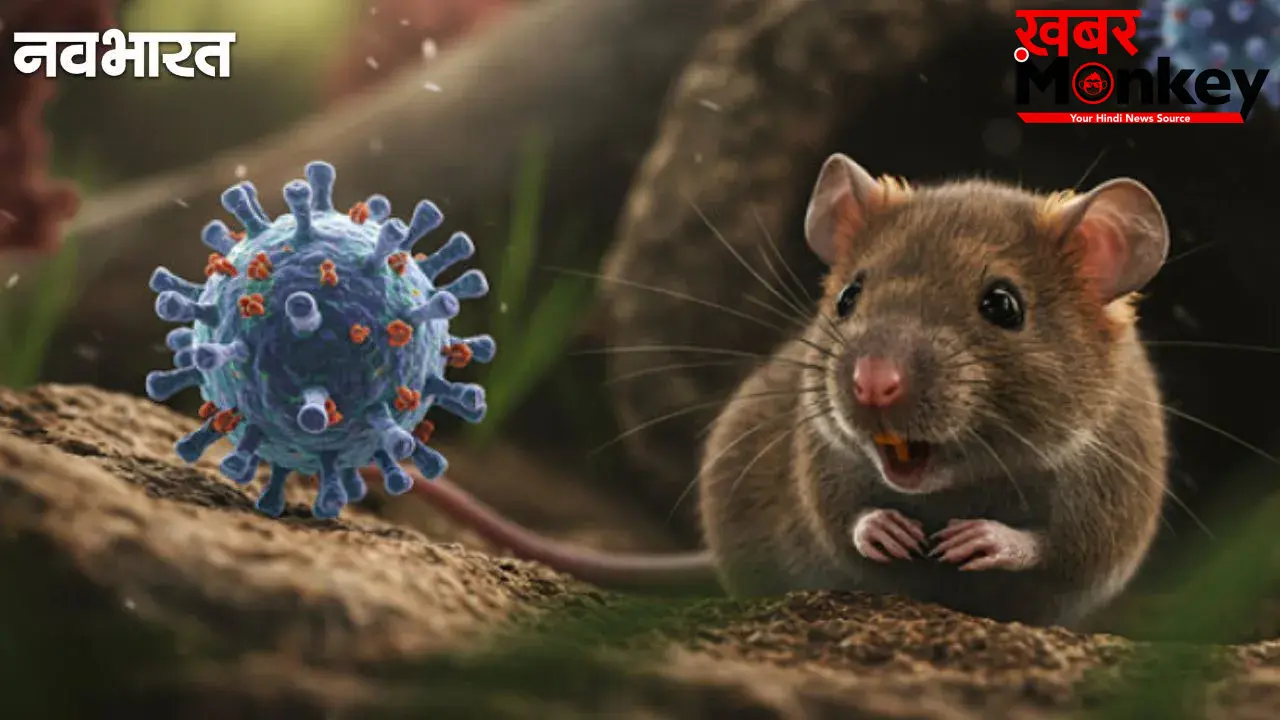 Explainer: Hantavirus क्या है? कैसे हुई इसकी शुरुआत और क्या होते हैं लक्षण? जानें कुछ महत्वपूर्ण बातें