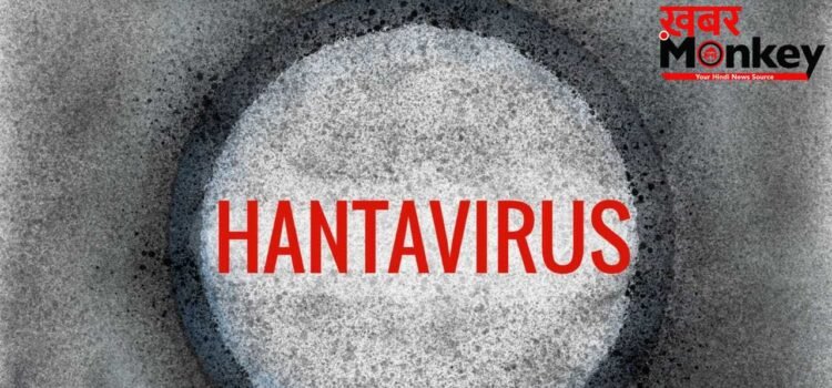 क्या है Hantavirus, WHO ने जताई ह्यूमन ट्रांसमिशन की आशंका, 3 की मौत