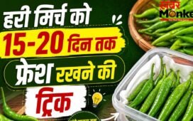हरी मिर्च को लंबे समय तक फ्रेश रखने के तरीके, सूखने और सड़ने से बचाने के लिए अपनाएं ये ट्रिक्स