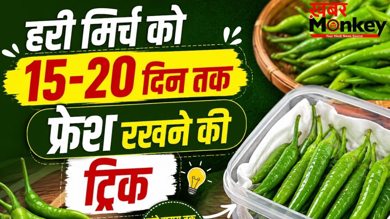 हरी मिर्च को लंबे समय तक फ्रेश रखने के तरीके, सूखने और सड़ने से बचाने के लिए अपनाएं ये ट्रिक्स
