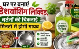 बर्तन धोने का साबुन खत्म हो जाए तो इन चीजों से बनाएं डिशवॉश लिक्विड