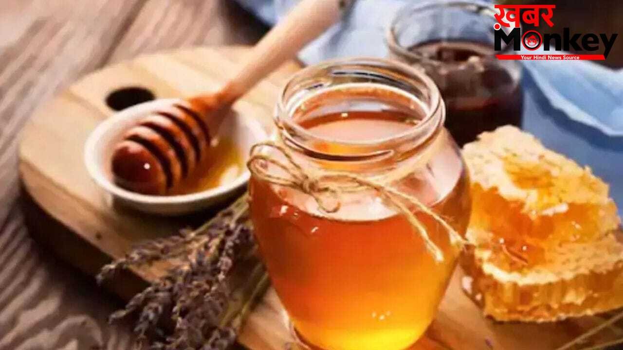 देश के इस राज्य के शहद की US में खूब डिमांड, किसानों को मिलेंगे 43% ज्यादा दाम