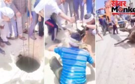 मेरठ में खुला गटर बना मुसीबत, सीवर में गिरा घोड़ा… क्रेन की मदद से बचाई गई जान