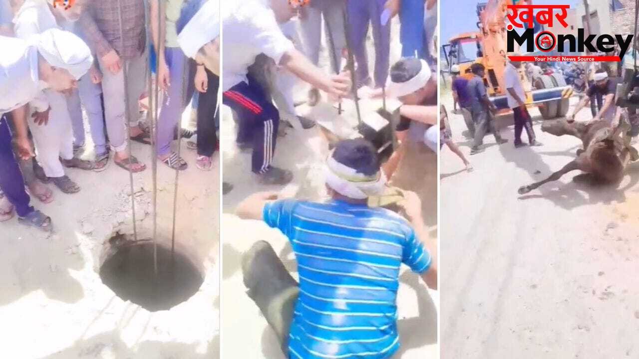 मेरठ में खुला गटर बना मुसीबत, सीवर में गिरा घोड़ा… क्रेन की मदद से बचाई गई जान