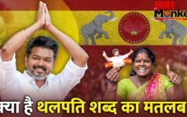 जोसेफ विजय चंद्रशेखर कैसे बने ‘थलपति’? ढहाया DMK का किला, ब्लॉकबस्टर जीत का जश्न शुरू