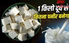 1 किलो दूध से कितना पनीर बन जाता है? जानें बाजार से महंगा पड़ेगा या सस्ता