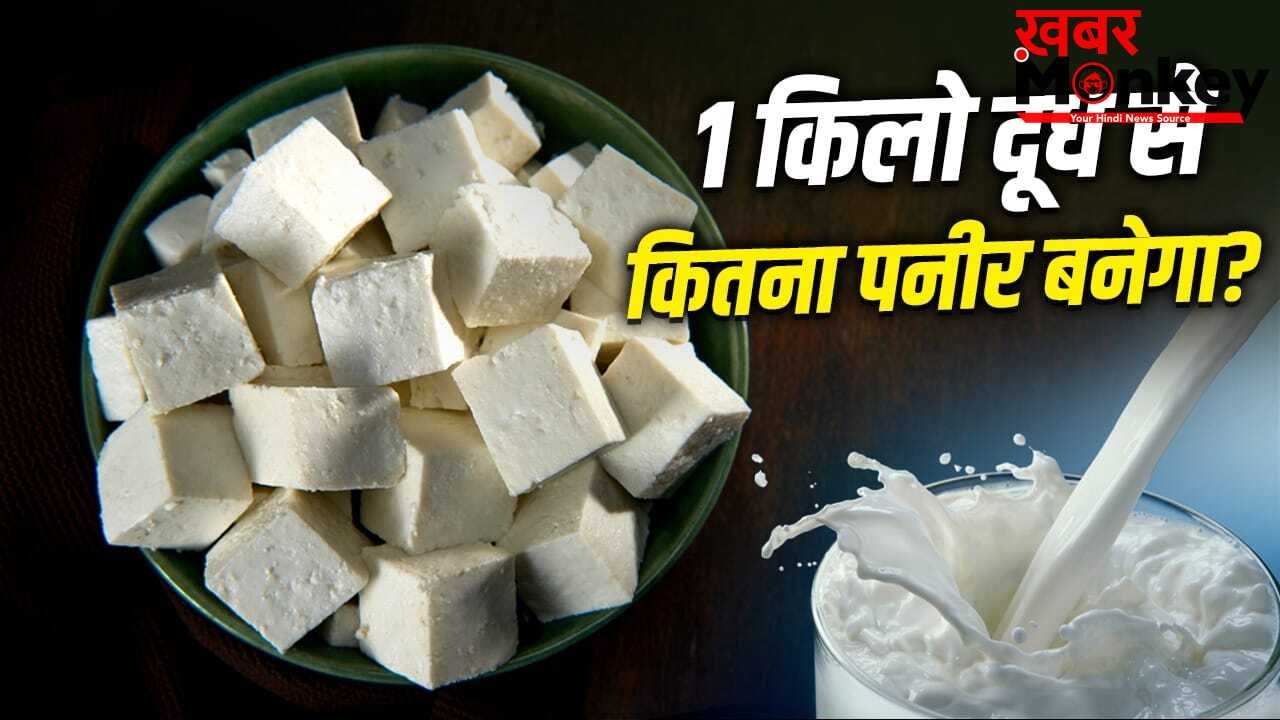 1 किलो दूध से कितना पनीर बन जाता है? जानें बाजार से महंगा पड़ेगा या सस्ता