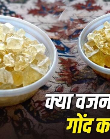 Gond Katira for Weight Loss: क्या वजन घटाने में मदद करता है गोंद कतीरा, जानें ये कैसे करता है काम